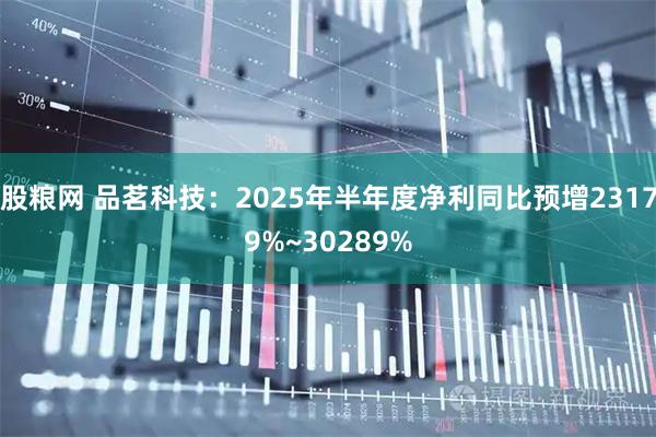 股粮网 品茗科技：2025年半年度净利同比预增23179%~30289%